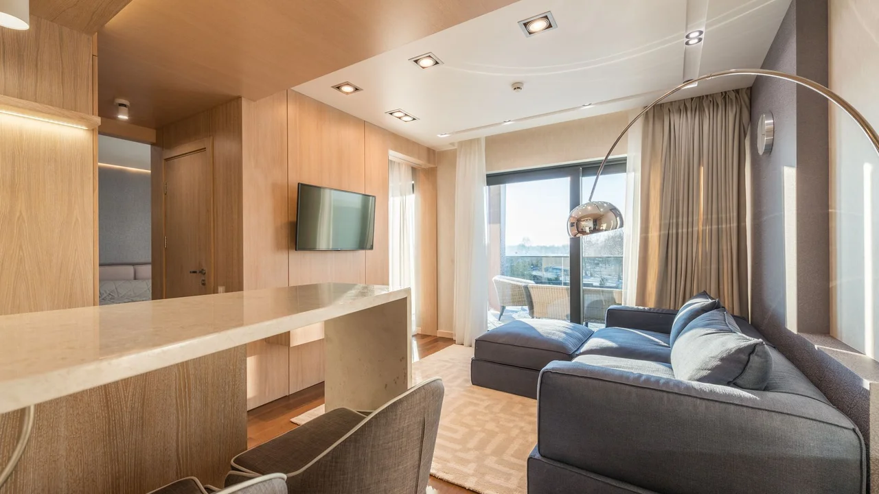 Interior of modern living room with wooden walls and counter near soft comfy sofa placed near window in daylight